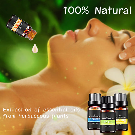 Organic Essential Oils Set – 100% Pure Therapeutic Grade Aromatherapy Oils